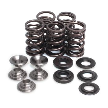 SPRING KIT YFM660R 01-02