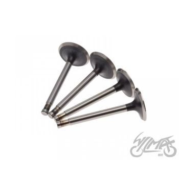 Klappide komplekt (sisse+välja) DNIEPR