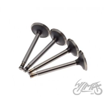 Klappide komplekt (sisse+välja) URAL