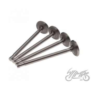 Klappide komplekt (sisse+välja) K-750 9,15 MM