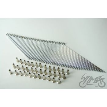 Kodara komplekt 36 tk