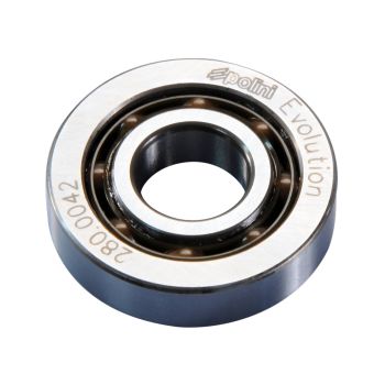 Polini mootori väntvõlli laager