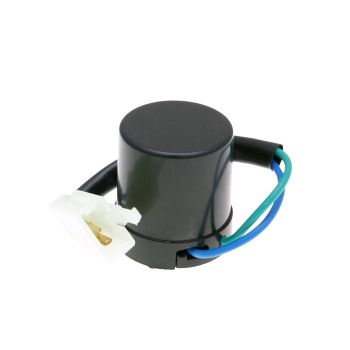 101 Oktani vilkurrelee 12V koos piiksuga universaalne