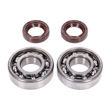 vända laagrite komplekt Naraku SKF / FKM Premium C4 metallist korpus Peugeot horisontaalne jaoks