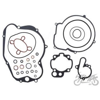 Tihendikomplekt MINARELLI AM6