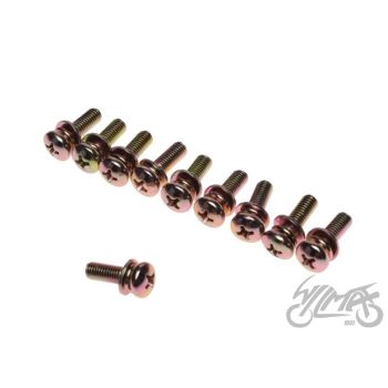 BOLT, ÕLIPUMBA KINNITUS 2T 10TK/SET