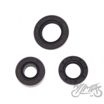 Mootori õlitihendi komplekt (3 tk komplektis)