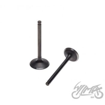 Klappide komplekt (sisselaske- ja väljalaskeklapp)