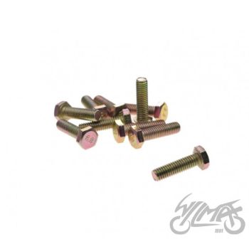 STARTERI HOOVA KRUVI 4T 10 TK.