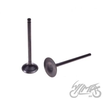 Klappide komplekt (sisse + välja) - Zongshen 250