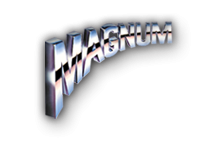 MAGNUM SHIELDING